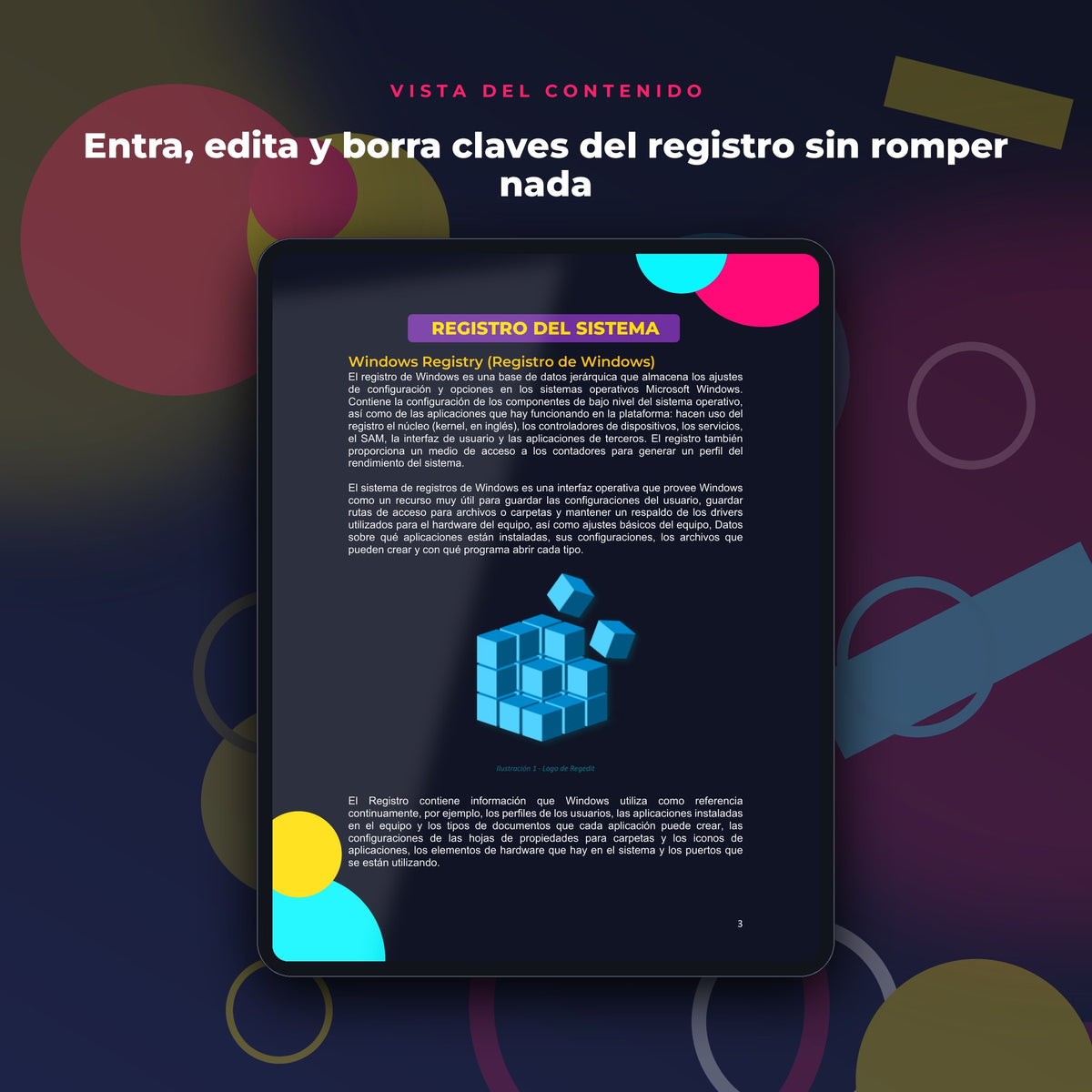 Vista del contenido de Registro de Windows (Regedit) · Manual Ilustrado Paso a Paso en mockup